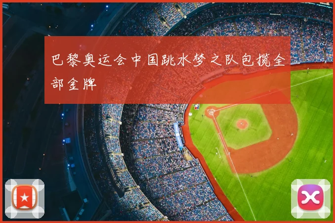 巴黎奥运会中国跳水梦之队包揽全部金牌