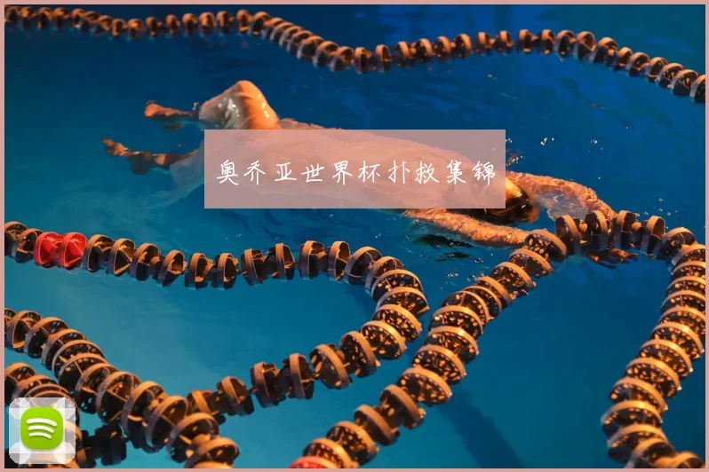奥乔亚世界杯扑救集锦