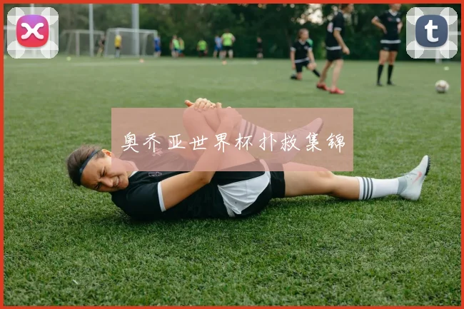 奥乔亚世界杯扑救集锦