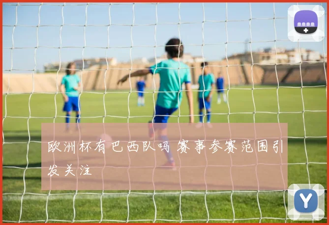 欧洲杯有巴西队吗 赛事参赛范围引发关注