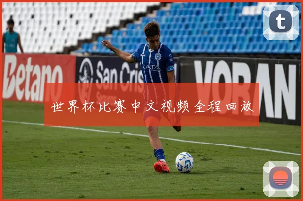 世界杯比赛中文视频全程回放