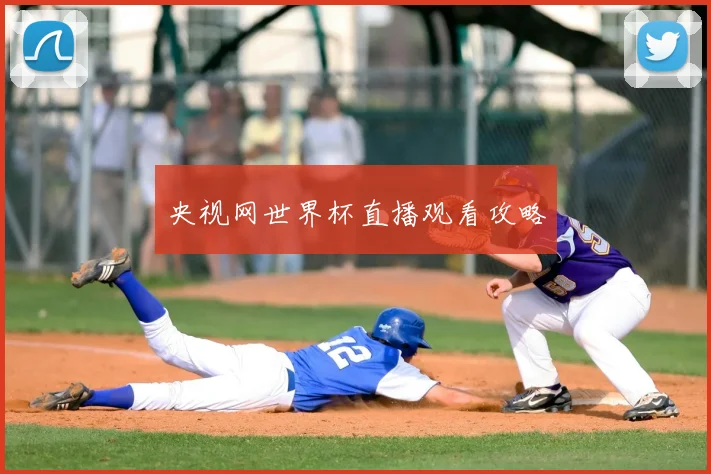 央视网世界杯直播观看攻略