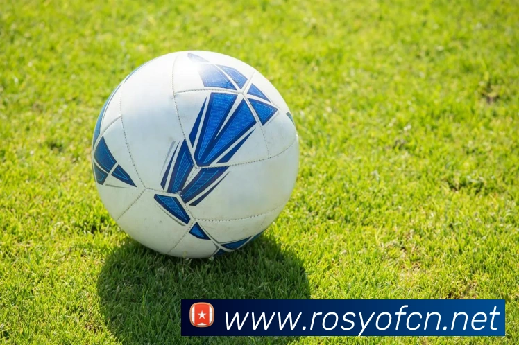 世界杯官网平台平台生态图